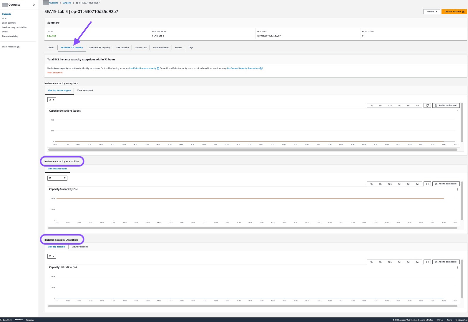 顯示「可用的 EC2 容量」標籤上的指標。